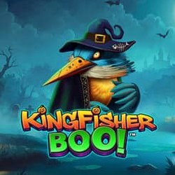 Kingfisher Boo